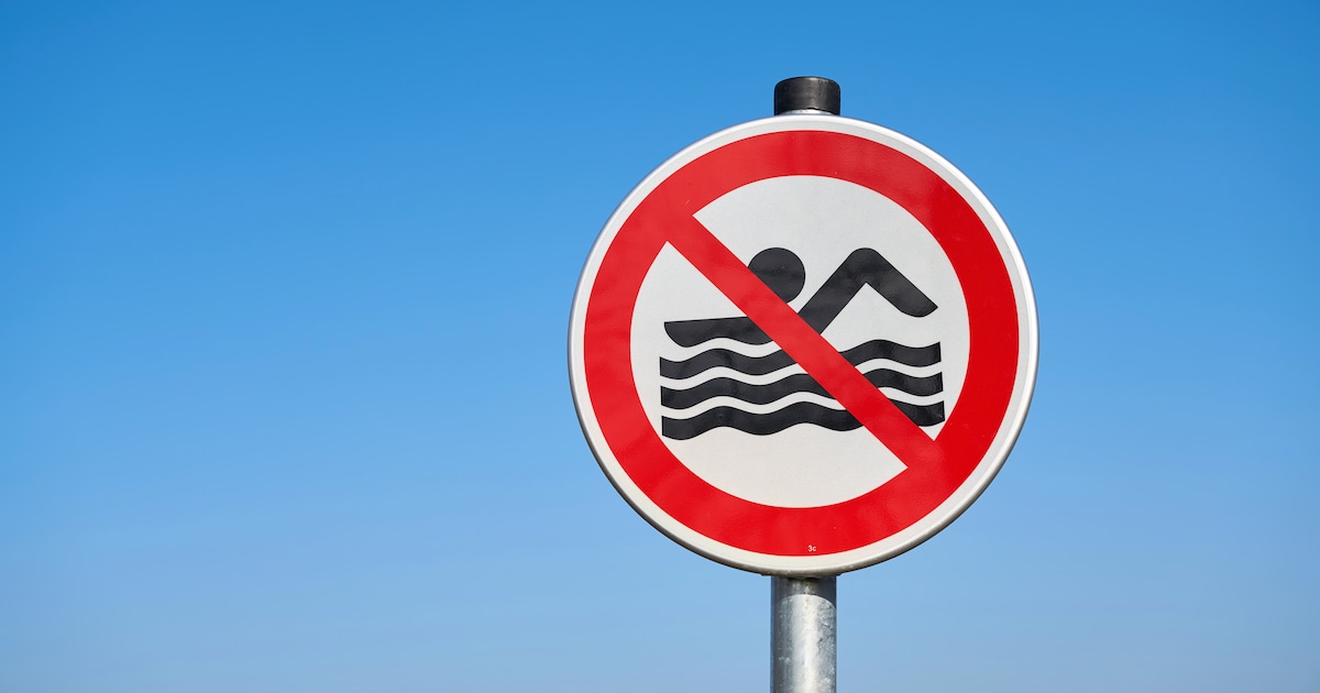 Provincie geeft negatief zwemadvies voor Speelland Beekse Bergen in Hilvarenbeek