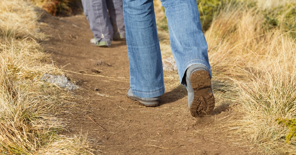 Wandeling langs landgoederen Ulvenhout en Chaam met IVN-gidsen
