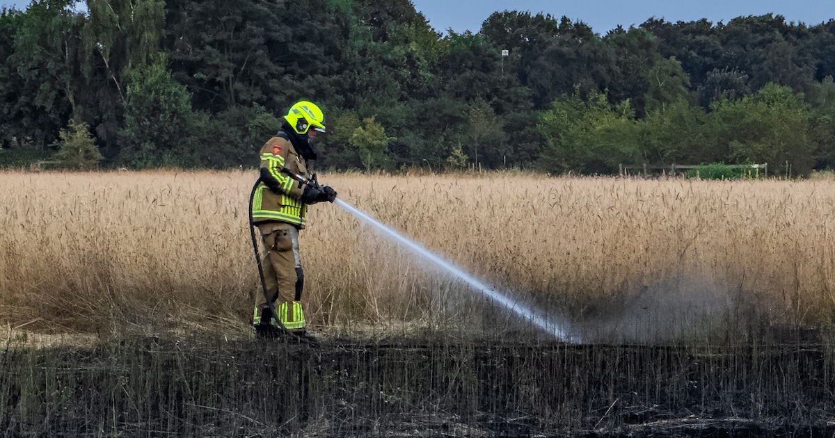 Groot akkerveld in vlammen opgegaan in Alverna