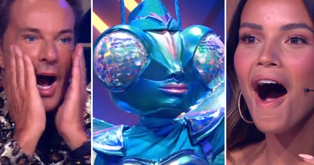 Panel met stomheid geslagen bij onthulling in The masked singer: ‘Dit ...