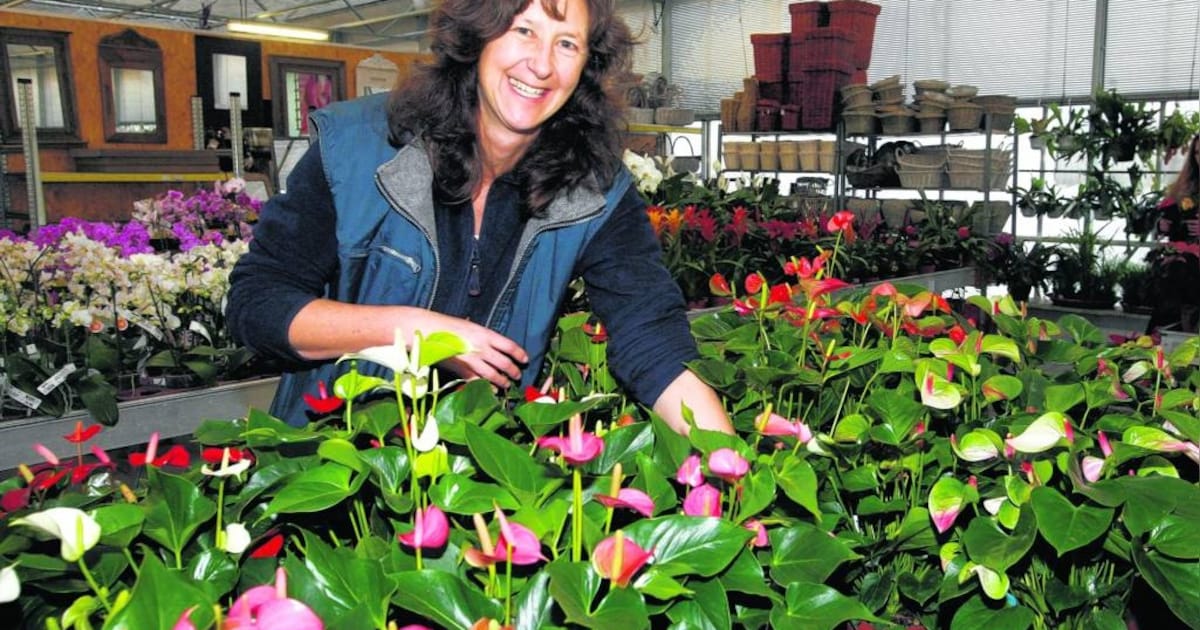 Floridus gaat na bijna dertig jaar dicht