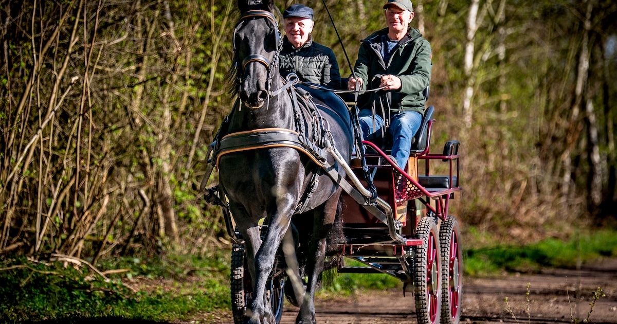 Met paard Jinthe op stroperstocht: geen bandieten te zien, wél koffie op een boomstam