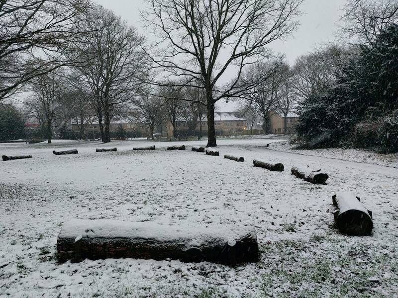 De eerste laag sneeuw is gevallen in het Groenewoudpark in Tilburg.