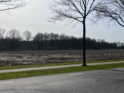 Eersel onderzoekt opvangplek voor 60, 100 of 150 asielzoekers: mogelijk woningen of woonunits langs 