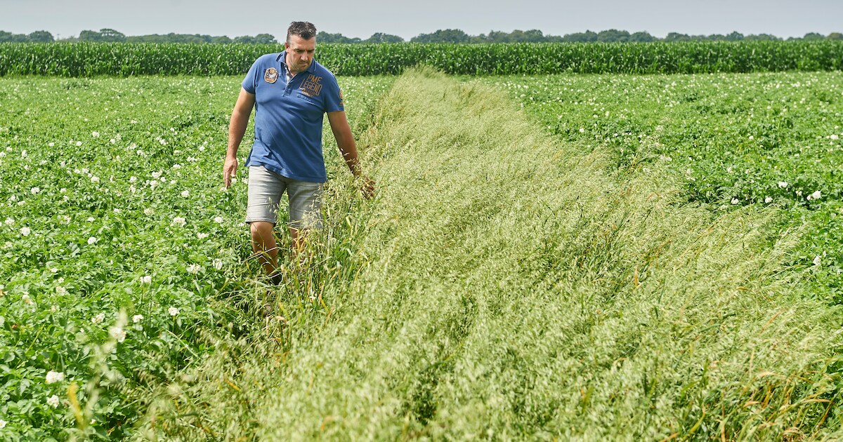 Veldexperimenten en innovaties te zien bij AgroProeftuin Noordoost-Brabant in Zeeland