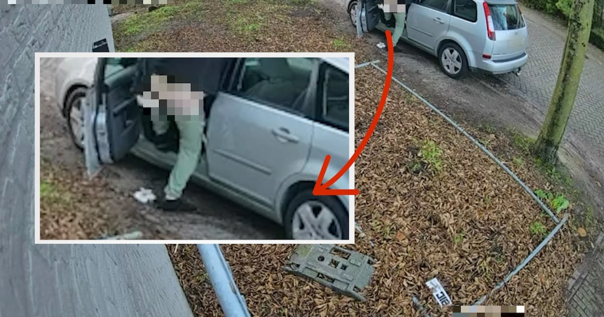 Man rijdt wijk in Berlicum in en poept op klaarlichte dag in het plantsoen: ‘Dit kom je niet elke da