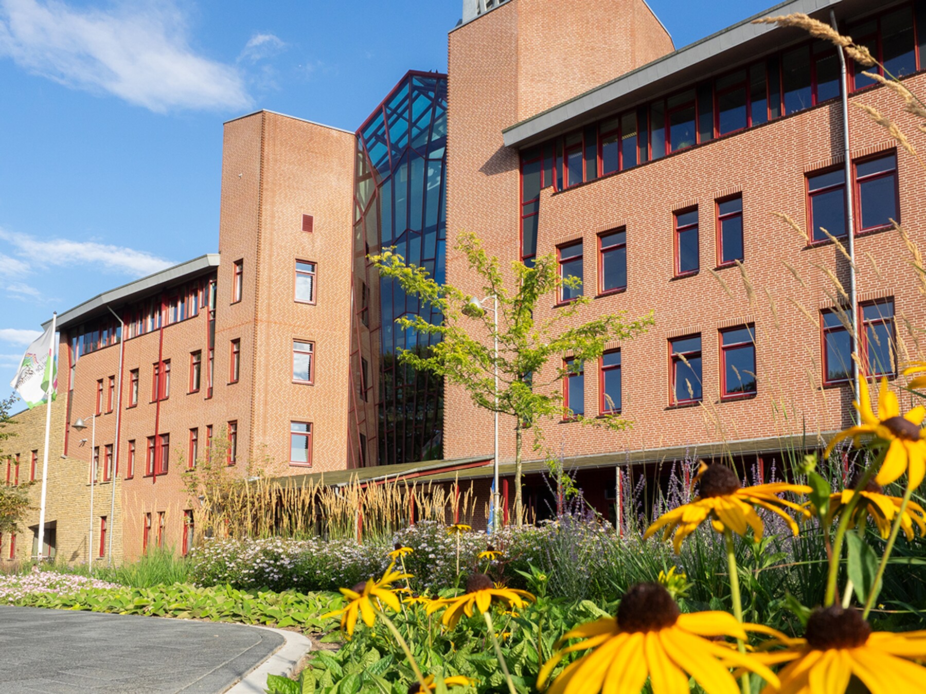 Reusel-De Mierden wacht ‘zure appel’ van 1 miljoen aan bezuinigingen: ‘Pijnlijk, maar onontkoombaar’