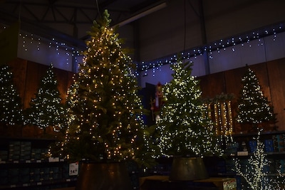 Kerstboom kopen in Tilburg: op deze plekken kun je terecht