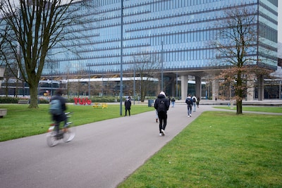 Hulptroepen in Brabant en Limburg voor soepele overstap naar hoger onderwijs: ‘Zonde als jongeren ui