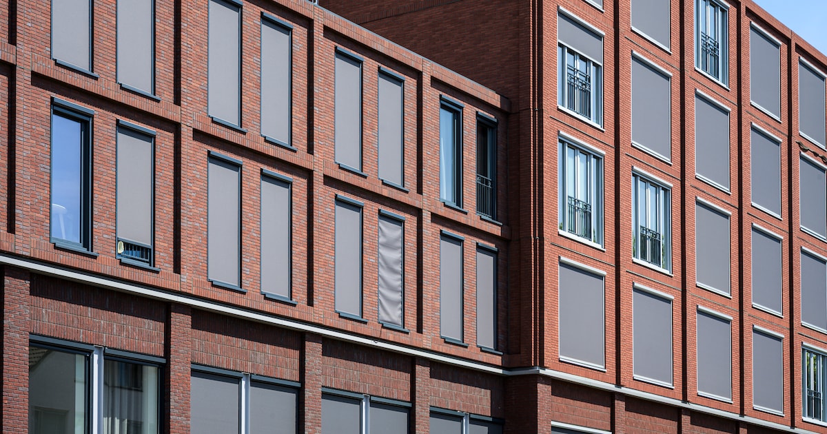 Een huis kopen onder 250.000 euro in Den Bosch wordt steeds lastiger