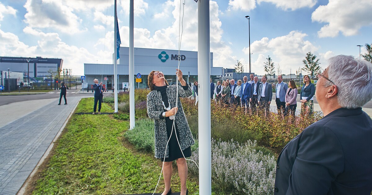 MSD Biotech begint na 25 jaar in Oss aan nieuw hoofdstuk: ‘Tien jaar ...