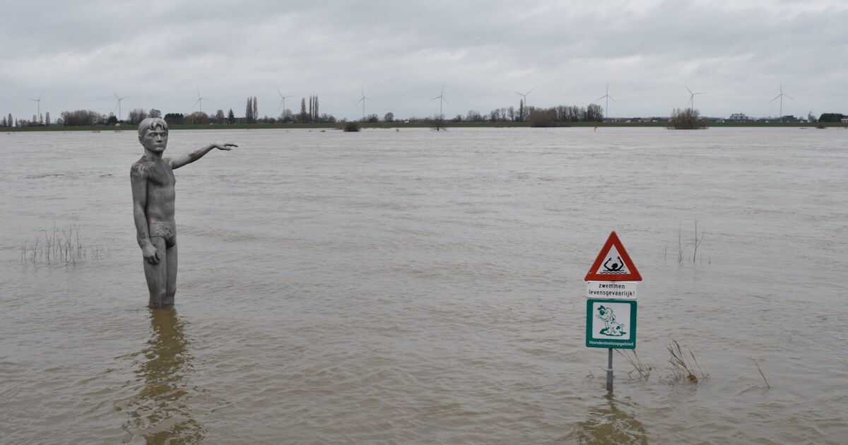 Ondergelopen Kelders En Straten Staan Blank In Brabant De Hoge 