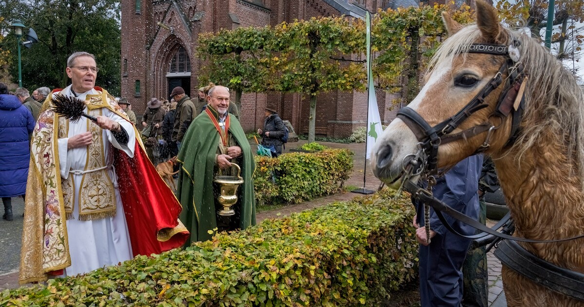 Wat doen die jagers met pony’s en honden op een stil kerkpleintje? | Loon op Zand