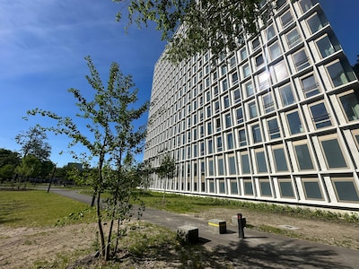 ‘De nachtmerrie van elke vrouw’: mannen horen hulpgeroep en redden studente van verkrach­ting in Ein