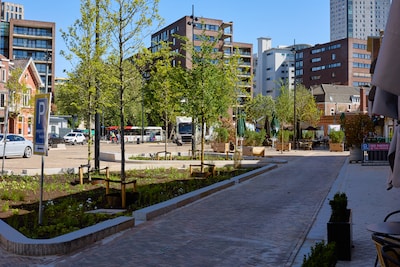 Iedereen is blij met het nieuwe Wilhelminaplein: ‘Alleen maar lof, het is prachtig geworden’