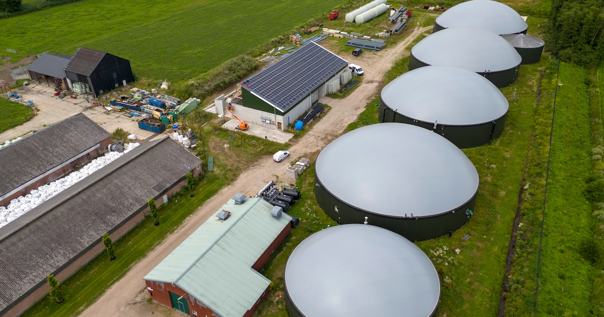 Natuurvergunning? Groengas Brabant kan ook zonder