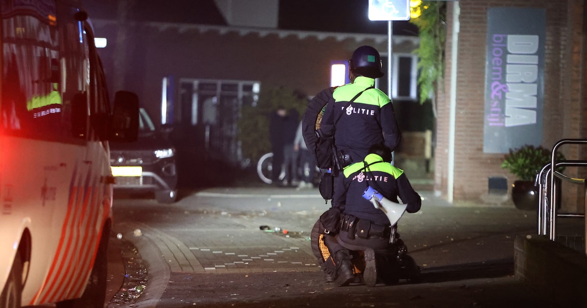 Relschopper oud en nieuw Hedel in hoger beroep, maar niet tegen zijn veroordeling voor zwaar geweld