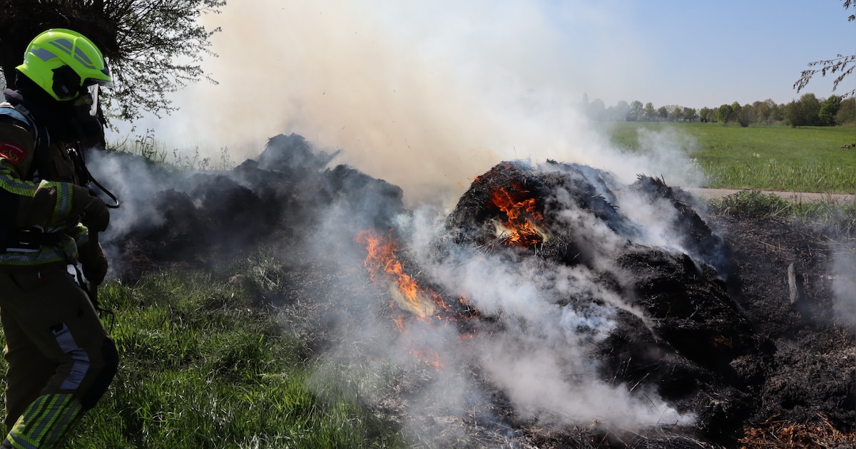 Berg met gemaaid gras vat vlam in Kaatsheuvel, brandweer harkt smeulende delen uit elkaar