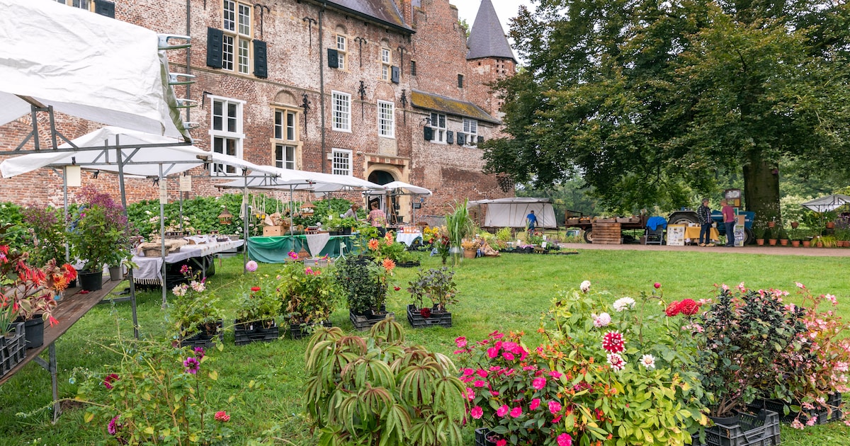Zeldzame planten en struiken op tuinmarkt in Hernen
