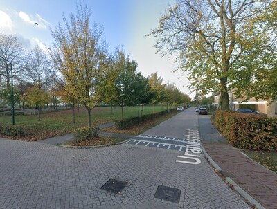 Plan voor flexwoningen in Hilvarenbeek aangepast, maar kritiek blijft: ‘Veel te massaal voor een kle