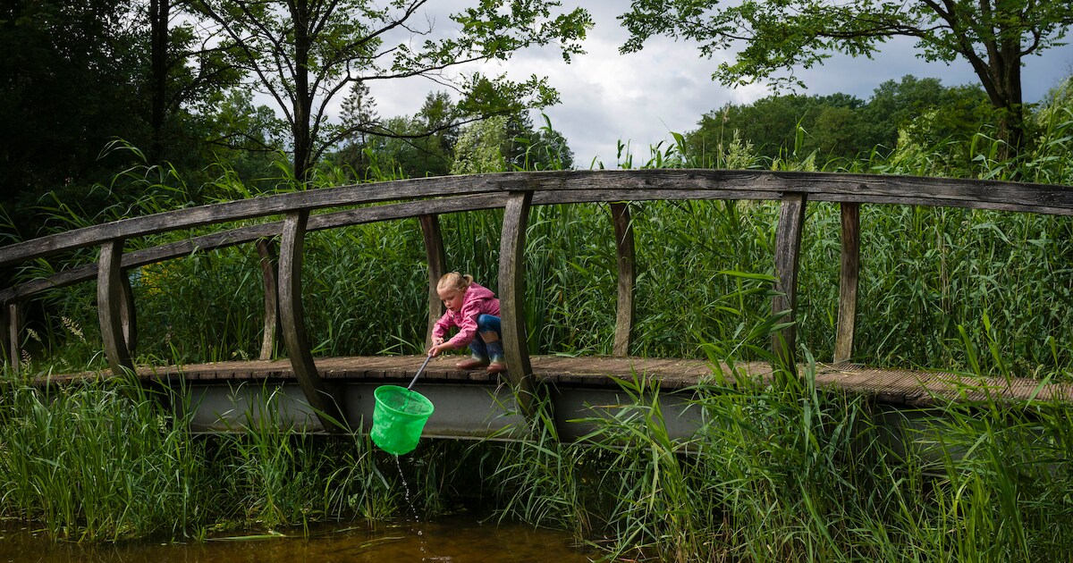 IVN Slootjesdag leert kinderen over waterleven in Oirschot | Foto