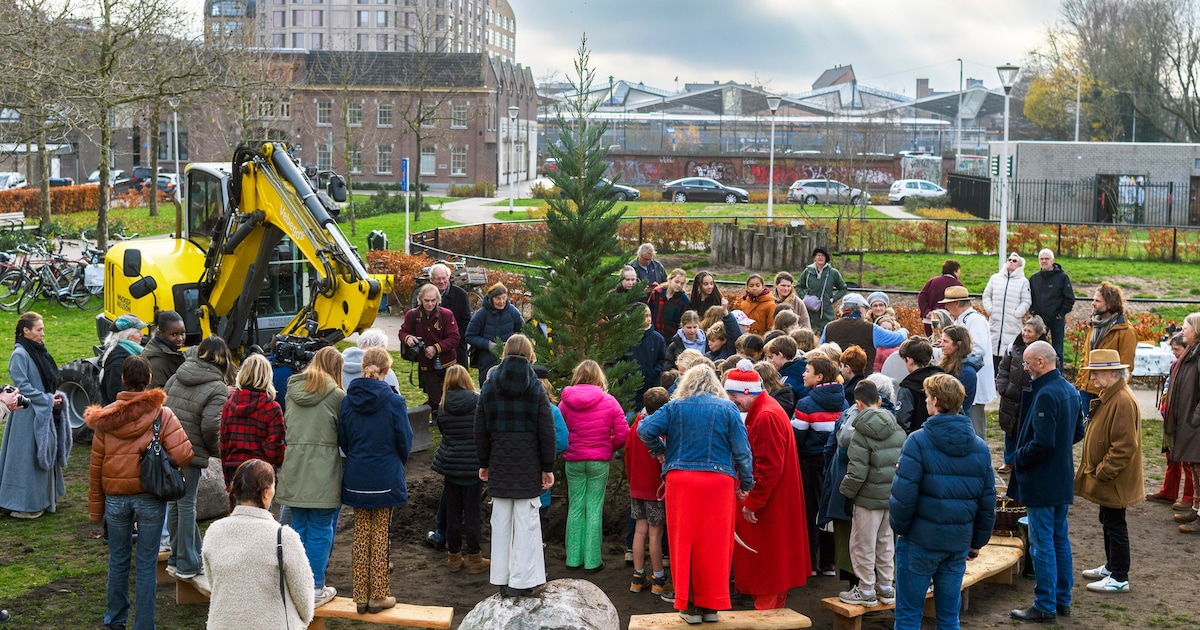 De vredesboom in Lumenplantsoen is niet zomaar wat extra groen