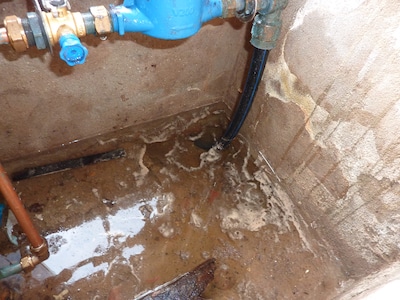 Natte kelders in de Bloemenwijk: waarom Veghelaren procederen tegen gemeente