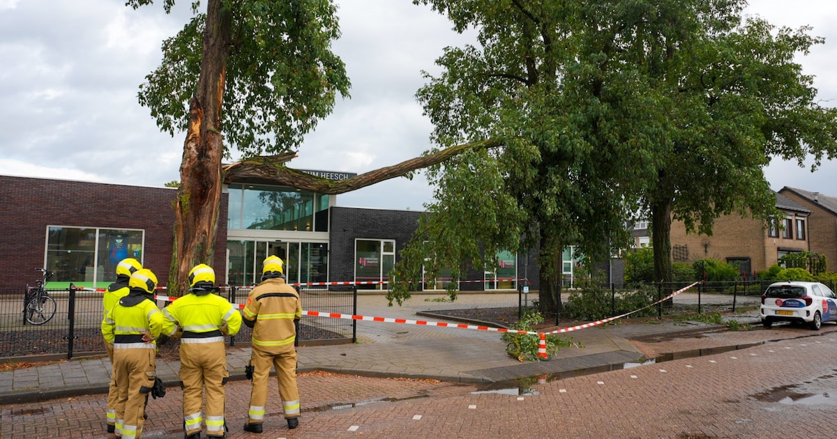 Grote tak van boom breekt af bij gezondheidscentrum in Heesch, auto’s konden parkeerterrein niet ver