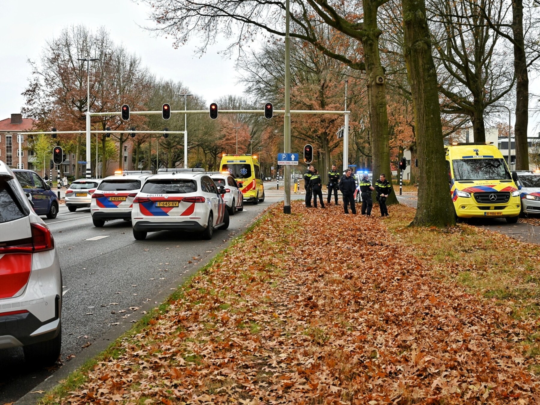 Man valt voorbijgangers aan in Tilburg en rent Ringbaan op