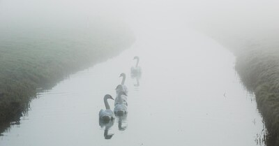 Nevel, grondmist en opklaringen in Sint-Michielsgestel in de ochtend