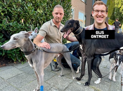Asperense loodgieter Roëll boekt succes met zijn windhonden: ‘Soms ben ik dagen onderweg voor een ra