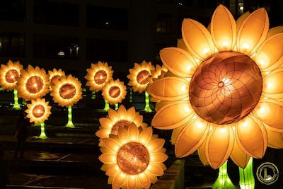 Deze dingen doe je dit weekend in Eindhoven (7 – 9 november)