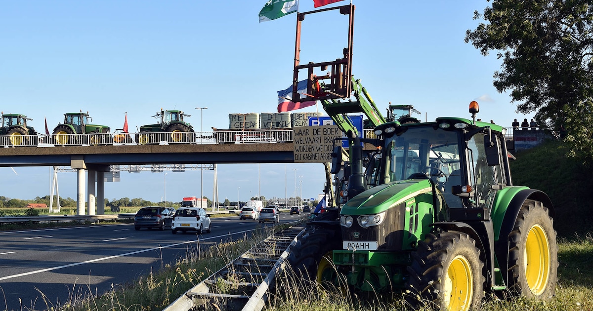 Boeren protesteren met tientallen tractoren langs A2 bij Bruchem: ‘Kamerbrief is een brug te ver’