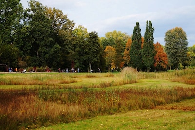De herfst is begonnen: hier zijn 6 dingen om te doen in Tilburg