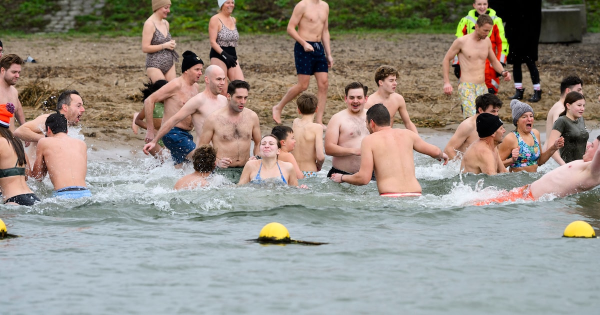 Bibberend het nieuwe jaar in: bikkels trotseren het koude water voor een duik
