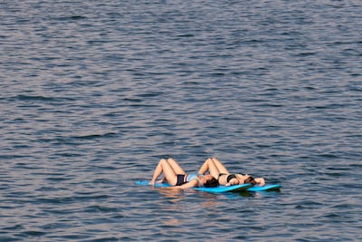 LIVE Hitte in Brabant | Zinderend Brabant: temperaturen richting de 38 graden