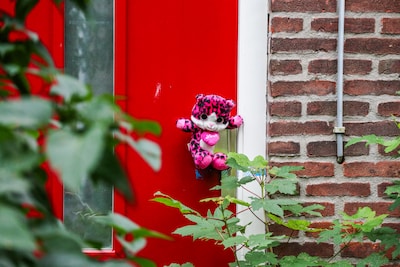 Zaak van Vlaardings pleegmeisje heeft ook positief effect: flink meer ouders hebben interesse in pleegzorg