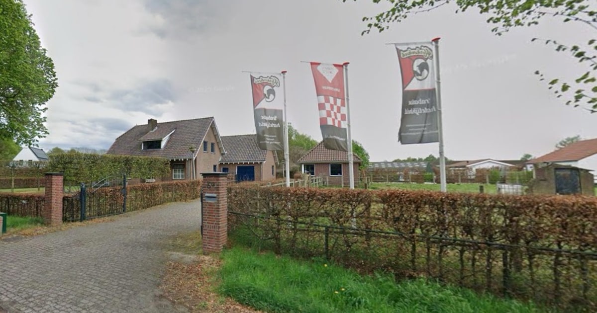 Op 50 meter van hun paardenbedrijf willen buren geen appartementen: Raad van State buigt zich over D