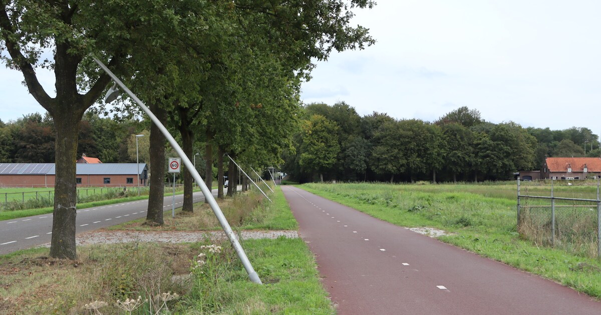 Fietsers in Elshout stuiten op bijzonder beeld: lantaarnpalen langs fietspad kromgetrokken