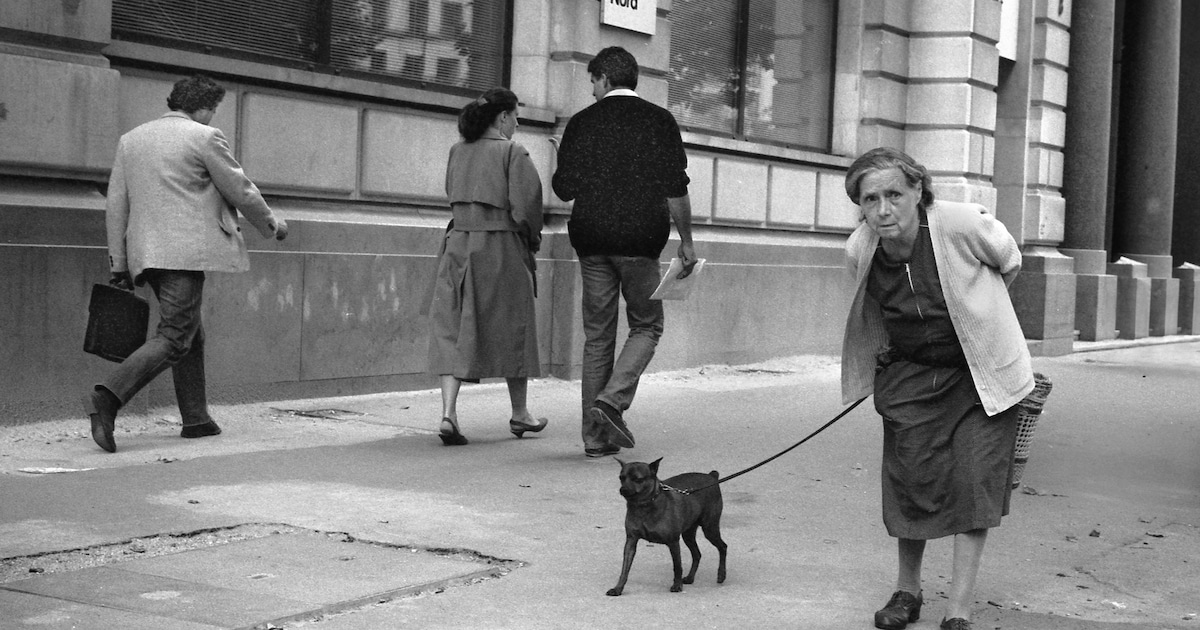 Bert toont 50 jaar fotografie: ‘Ik hou van zwart-wit, kleur leidt alleen maar af’