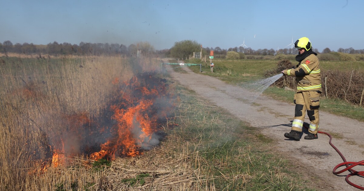 Brand in berm langs Kruissteeg in Cromvoirt, waarschijnlijk aangestoken