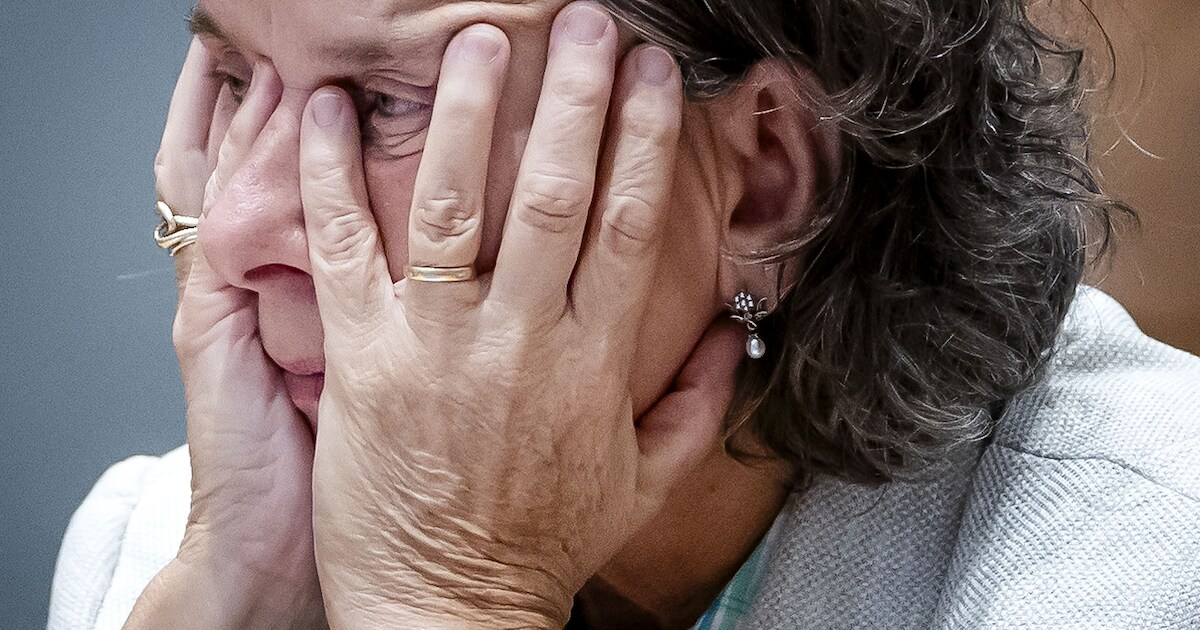 Kabinet kraakt door ruzie in coalitie over aanpak asiel | Nieuws | BD.nl