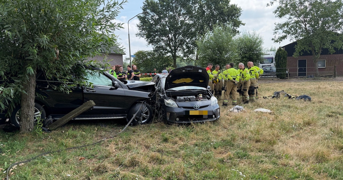 Twee kinderen en volwassene gewond bij ongeluk in Zeeland: veewagen met kalveren raakt los van auto