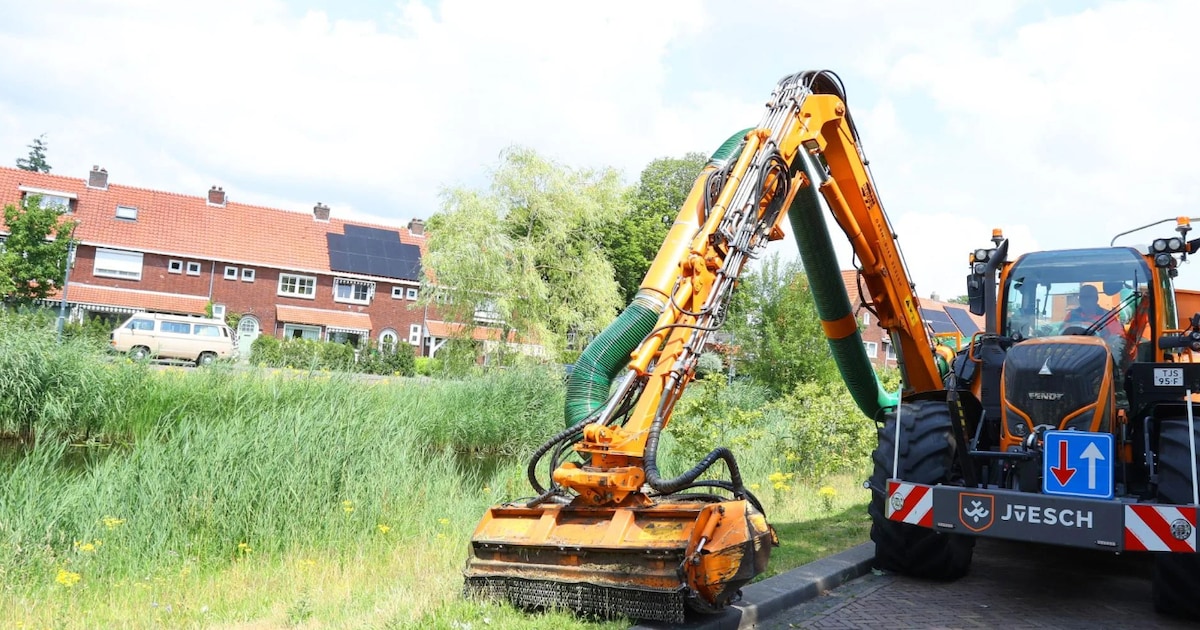 Gras in Vught wordt verschillend gemaaid voor betere leefomgeving en biodiversiteit