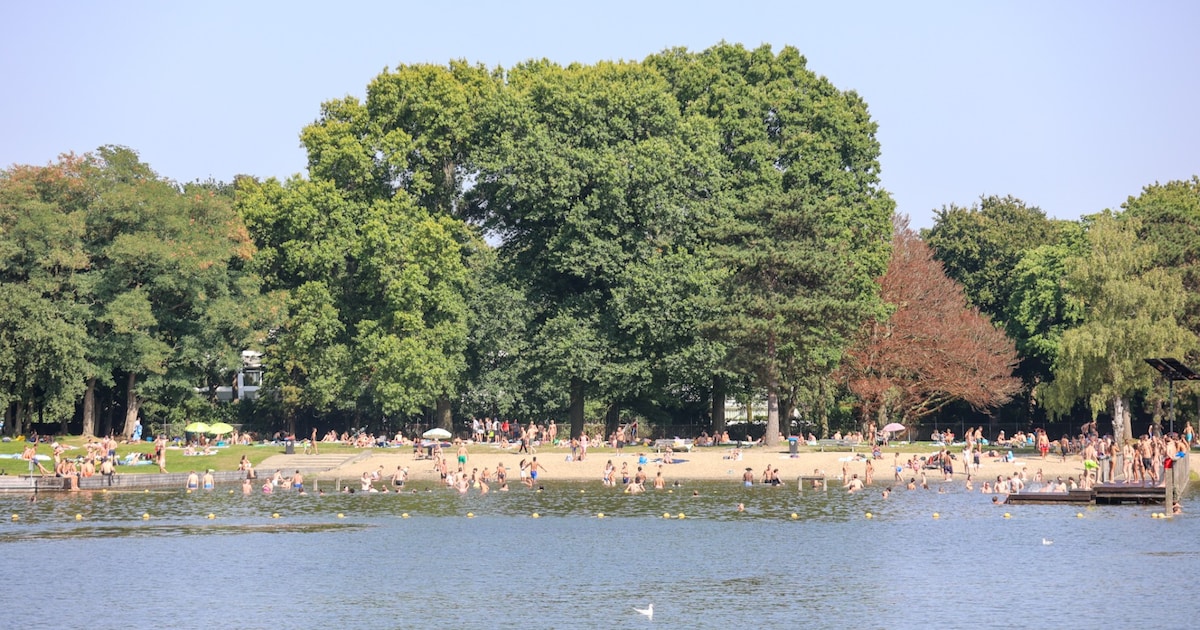 TERUGLEZEN | Komende dagen code geel voor aanhoudende hitte in Brabant, Volkel tikte dinsdag 33 grad