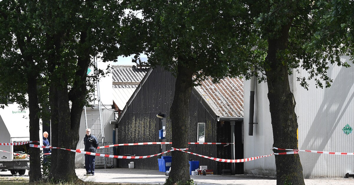 Coronavirus ontdekt op nertsenfokkerij in Ledeacker