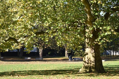 Zijn de warme dagen voorbij? Dit is de weersverwachting voor september in Tilburg