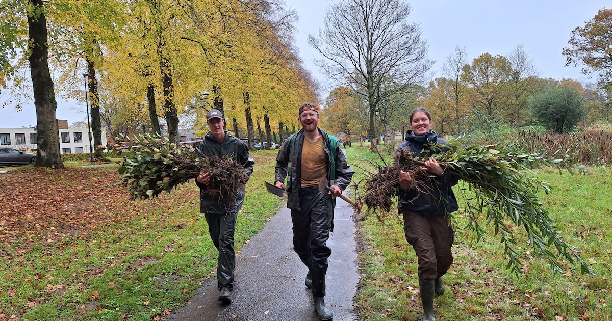 Gratis jonge bomen ophalen in Tilburg