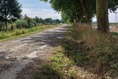 Geertruidenberg droomt van ‘standje Efteling’ voor onderhoud openbare ruimte, maar vreest ravijnjaar