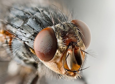 Ze bestaan nog, bekommerde twintigers: ‘Ik kreeg er zelfs vleugels van!’